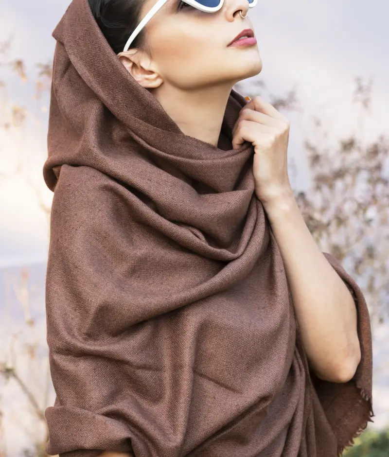 Warm brown Basoli shawl draped on shoulders